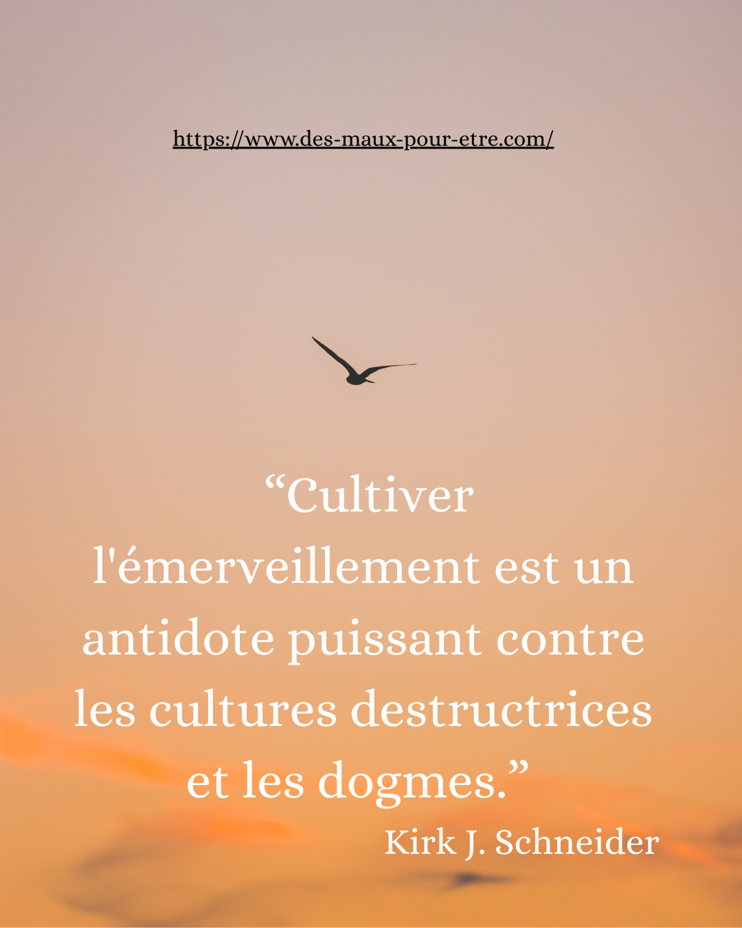 Malaise ou lucidité ?