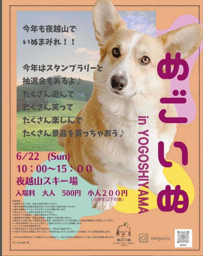 めごいぬ   in YOGOSHIYAMA