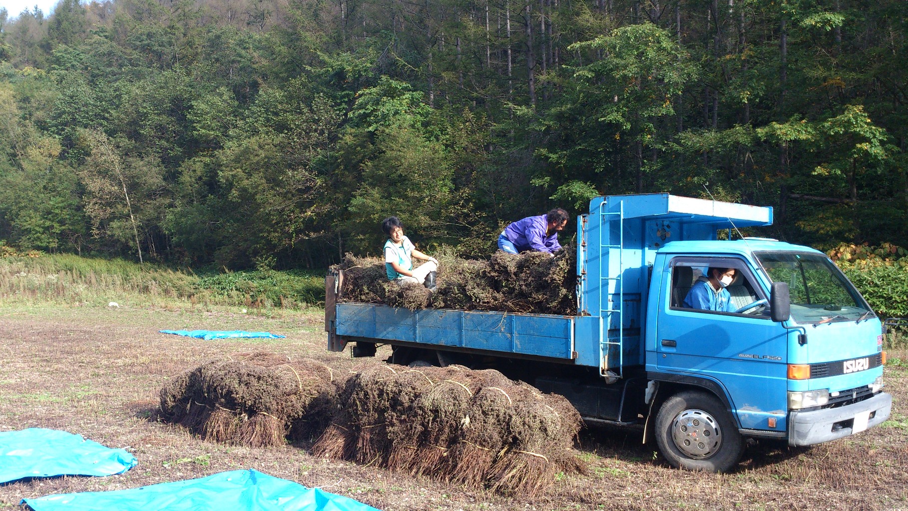 積み込み作業