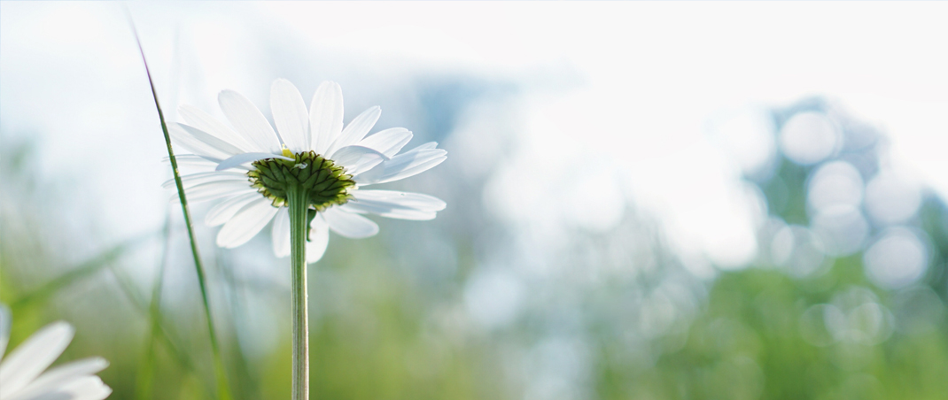 charly-birdsinger on unsplash