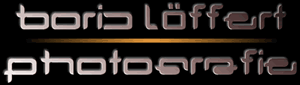 Logo Boris Löffert