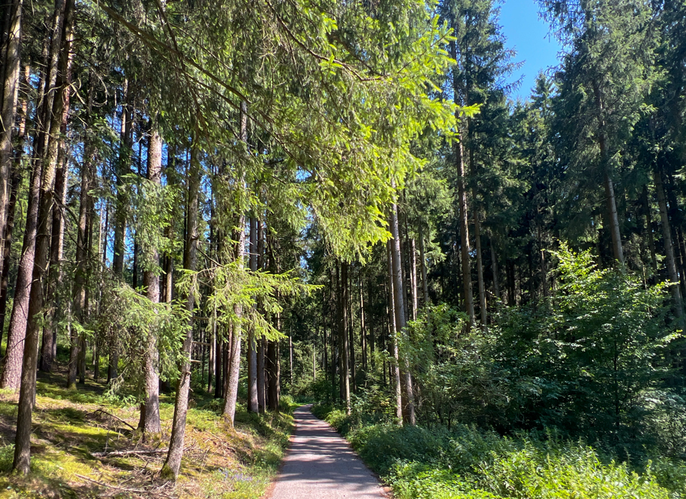Radweg, toll!