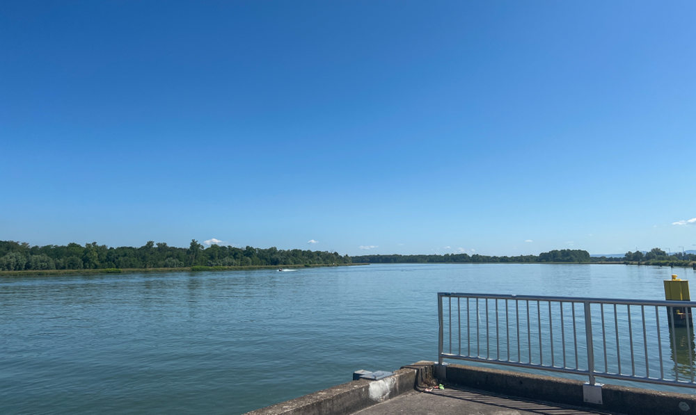Stopp am Rhein