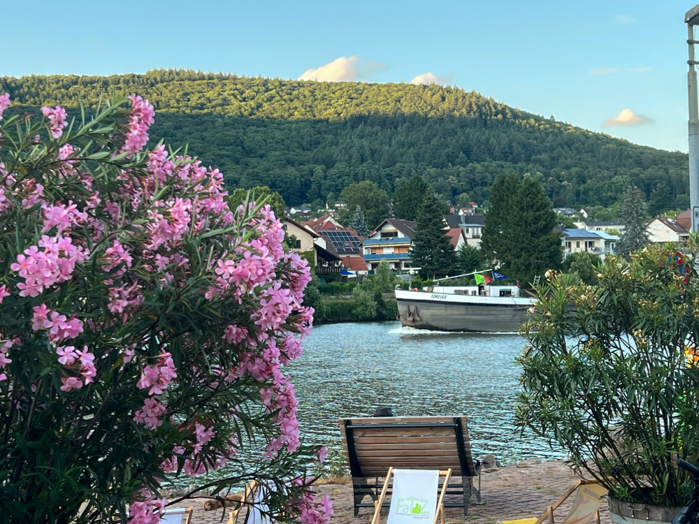 Neckar