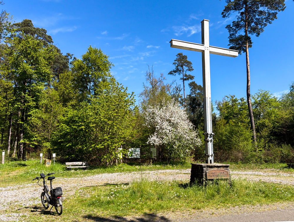 Weißes Kreuz im Bienwald