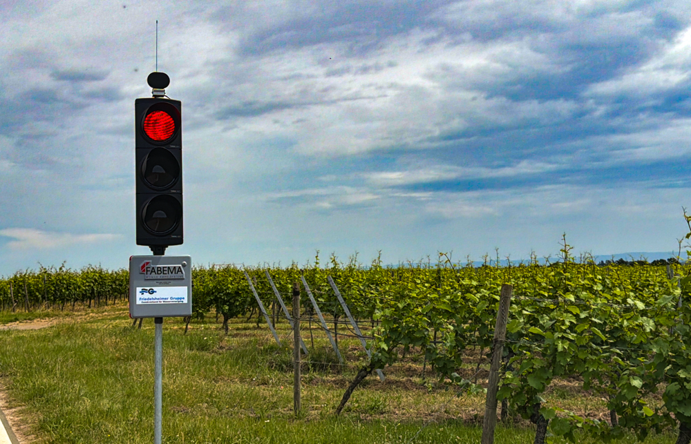 Stopp im Weinberg