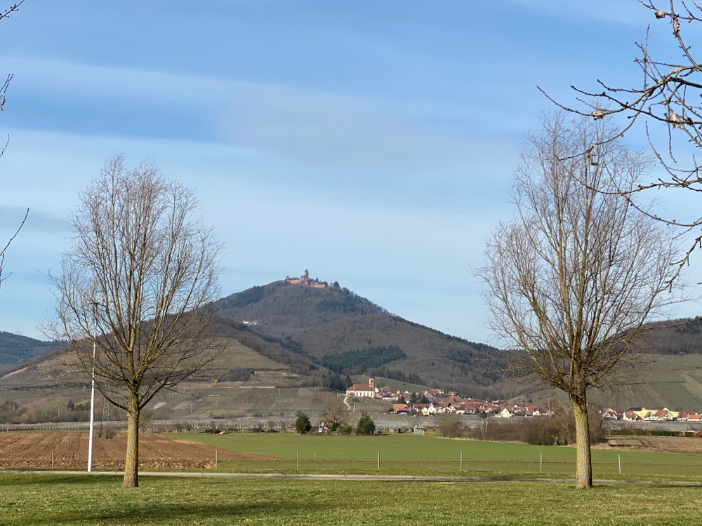 Königsburg bei Colmar