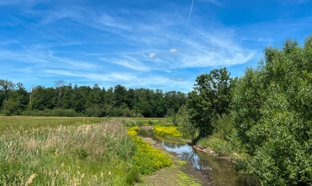 Unterwegs an der Acher