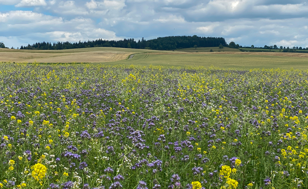 Unterwegs