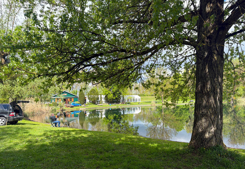 Angelsee Stollhofen 