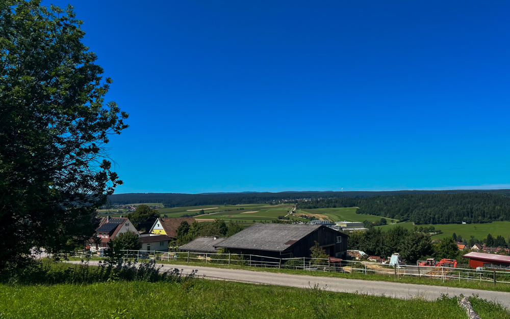 Blick auf den Schwarzwald