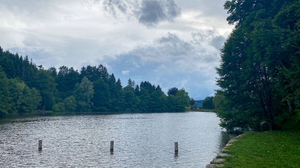 Waldsee