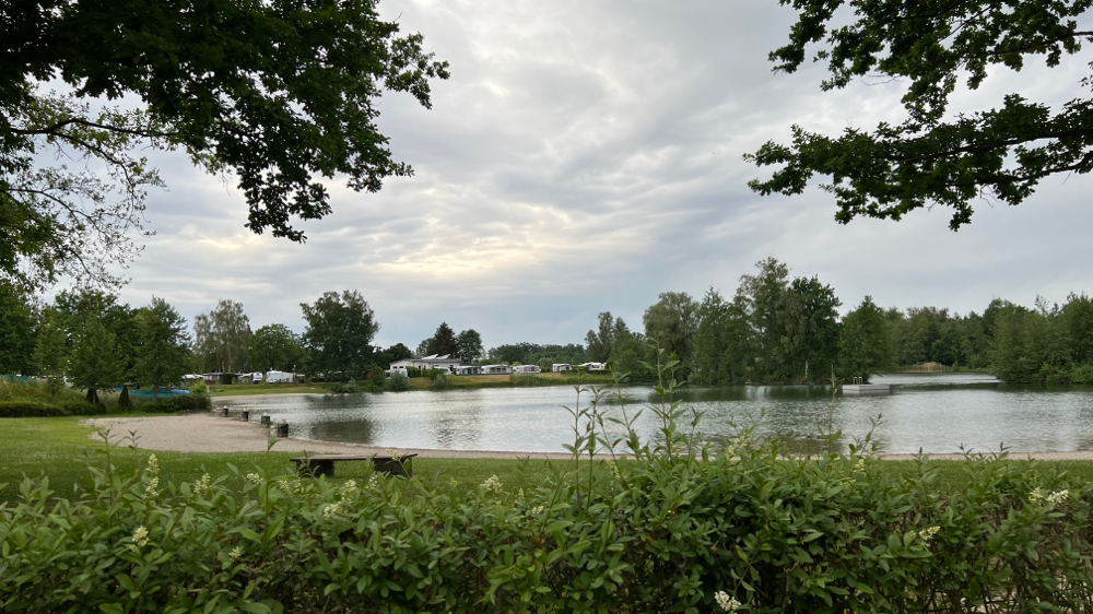 Adamsee