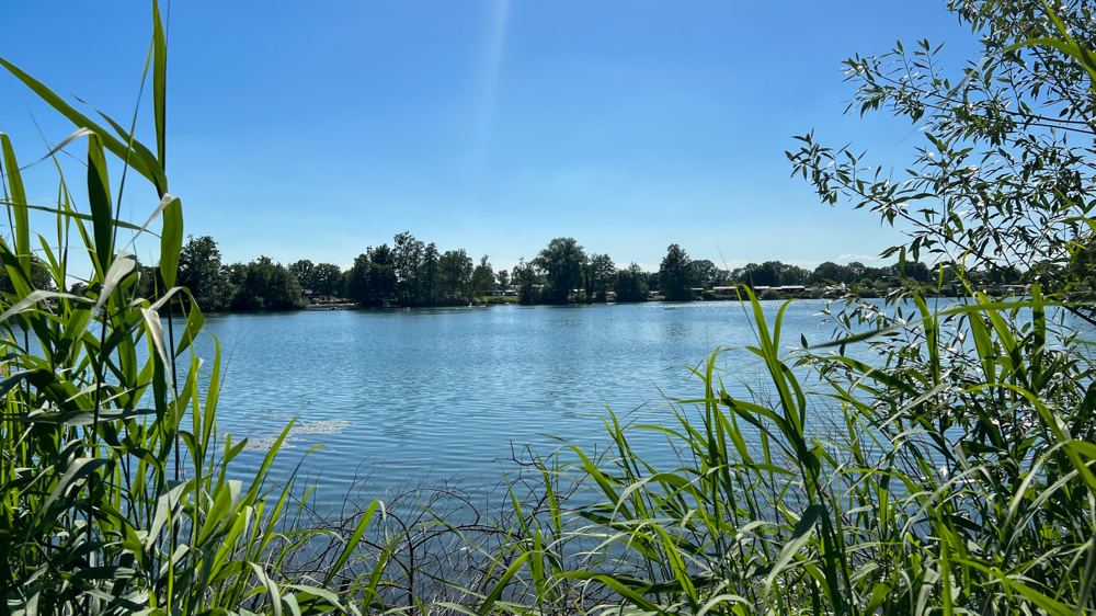 Adamsee