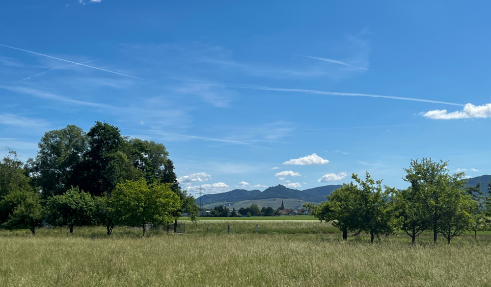 Schwarzwald