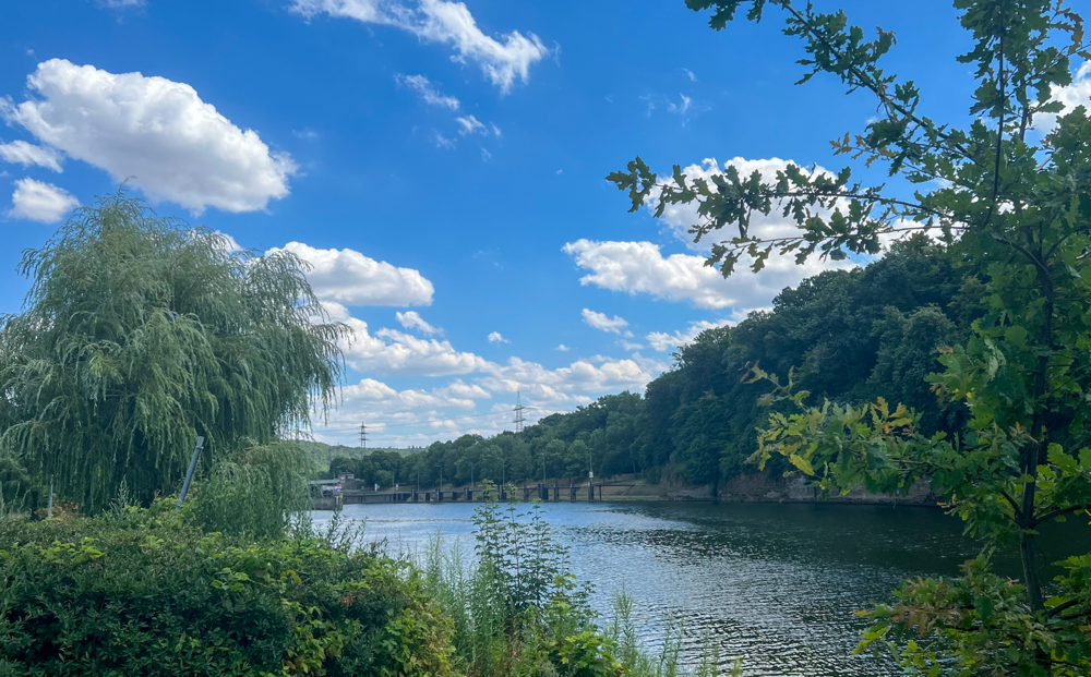 Schleuse Neckarzimmern