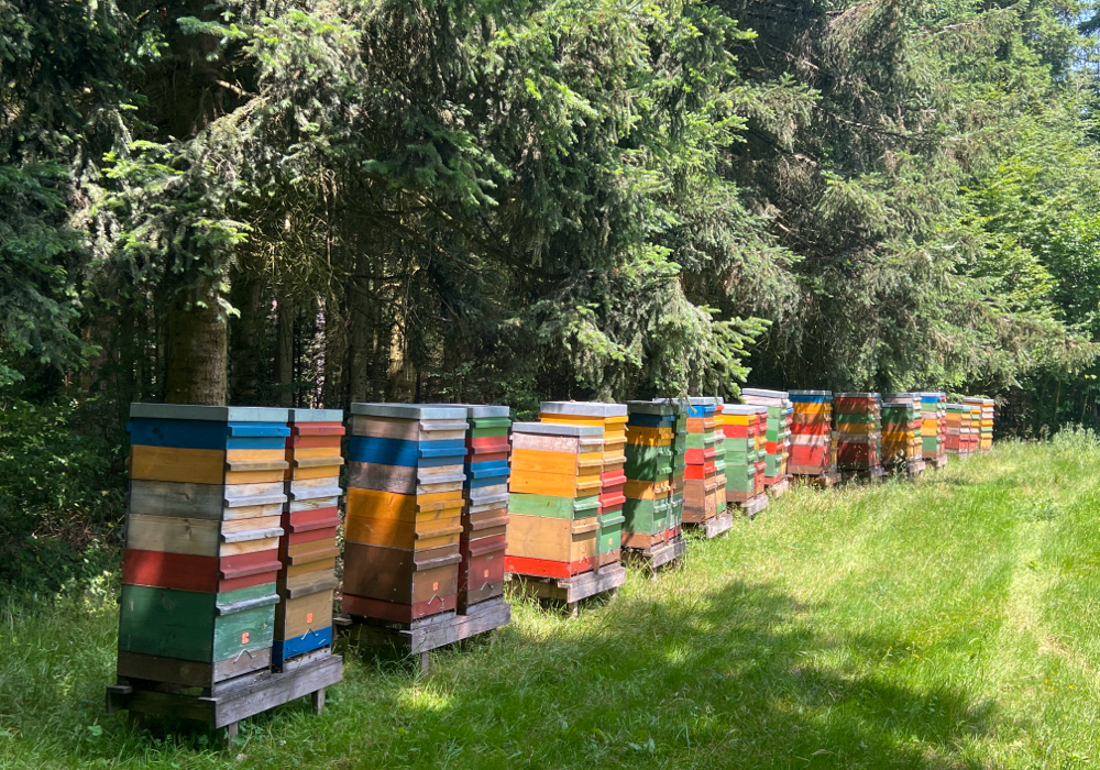 Bienenstöcke