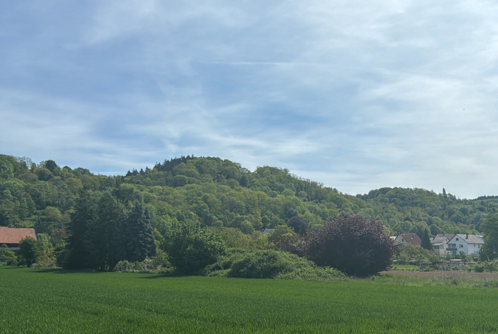 Blick auf die Bergstraße 