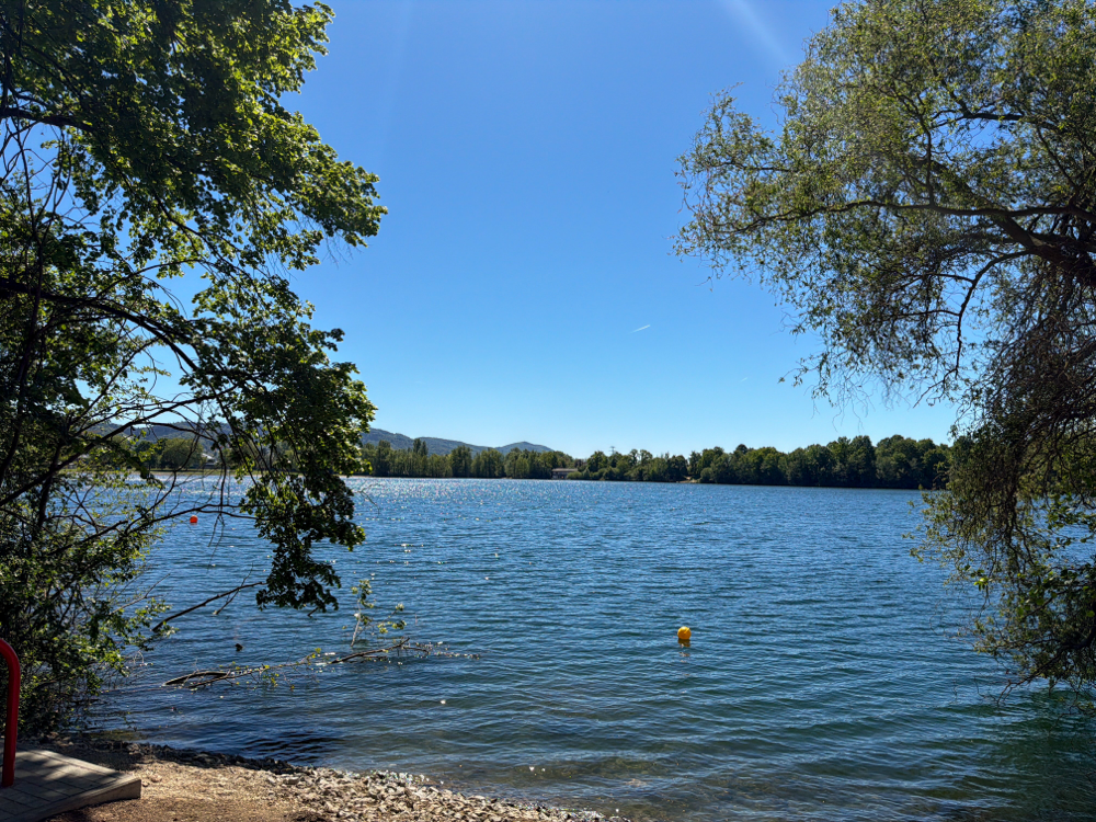 Waldsee