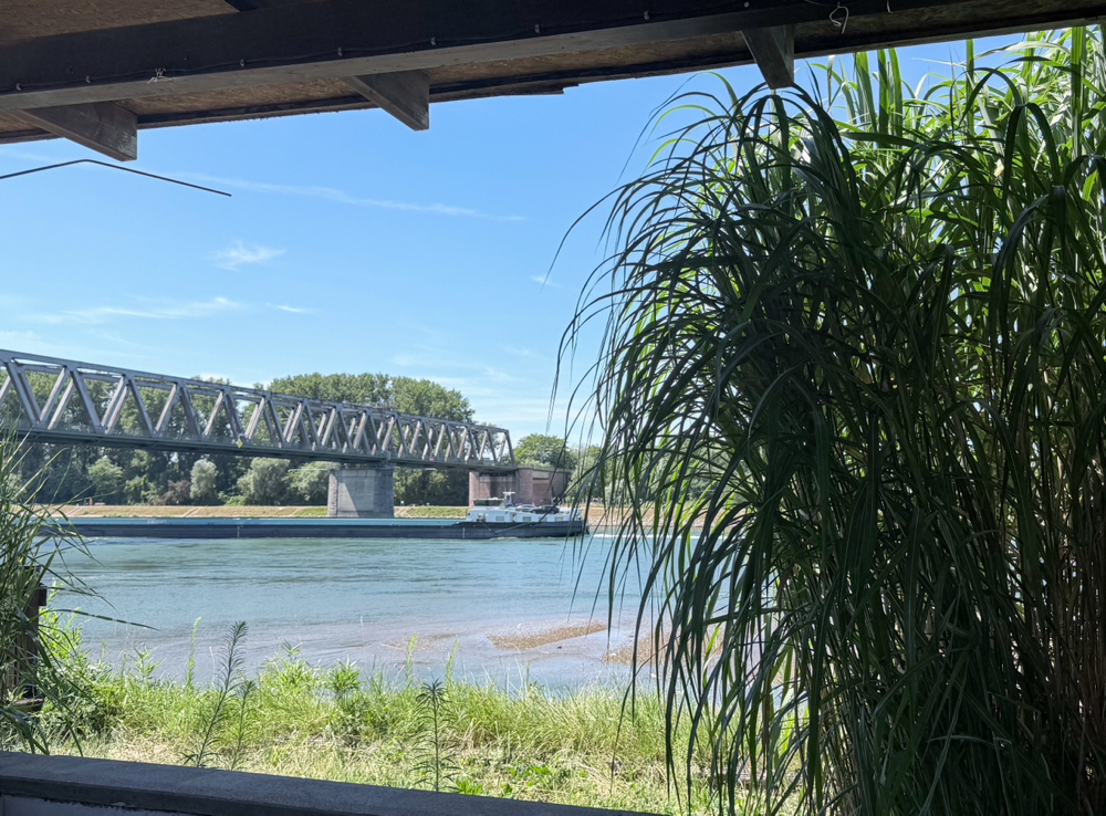 Eisenbahnbrücke Germersheim 