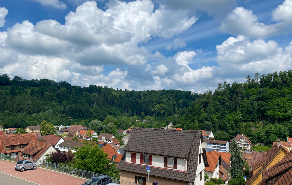 Schwarzwald