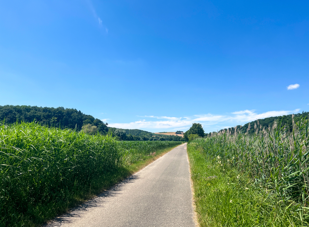 Rückweg