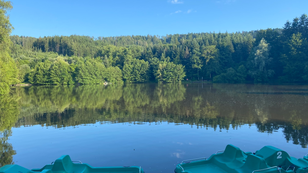 Waldsee