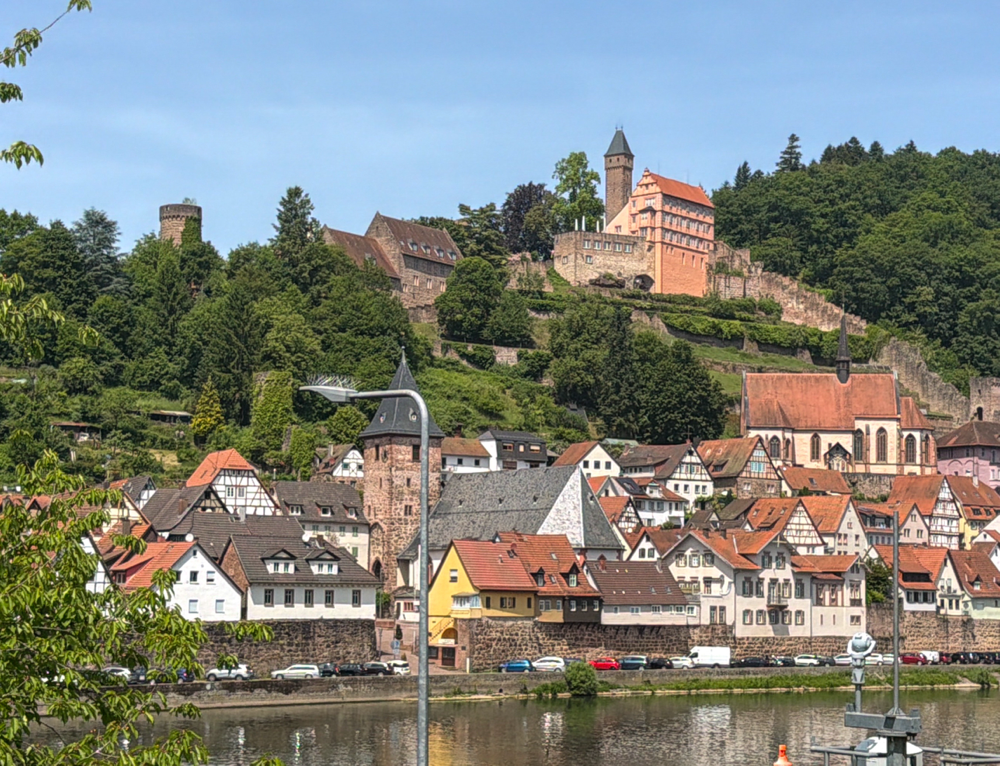 Hirschhorn mit Schloß