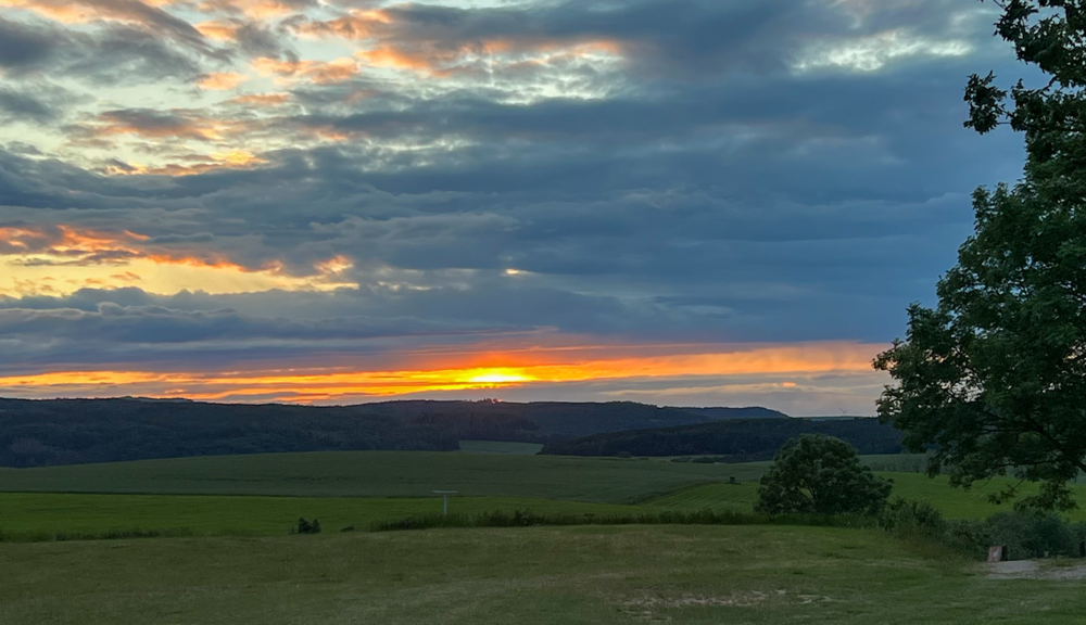 Schon wieder!