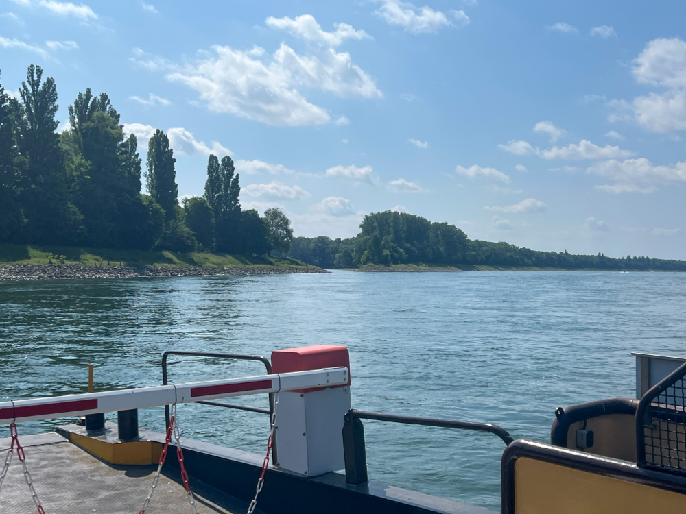 Rhein