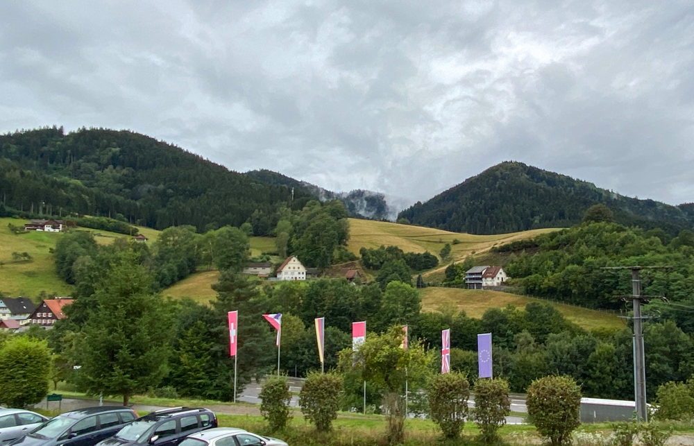 Blick auf den Schwarzwald 