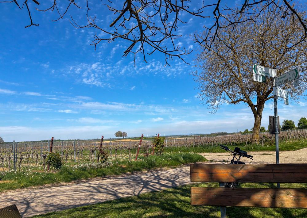 Pause in den Weinbergen