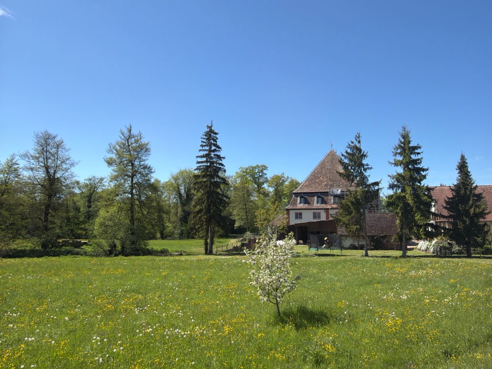 Bienwaldmühle