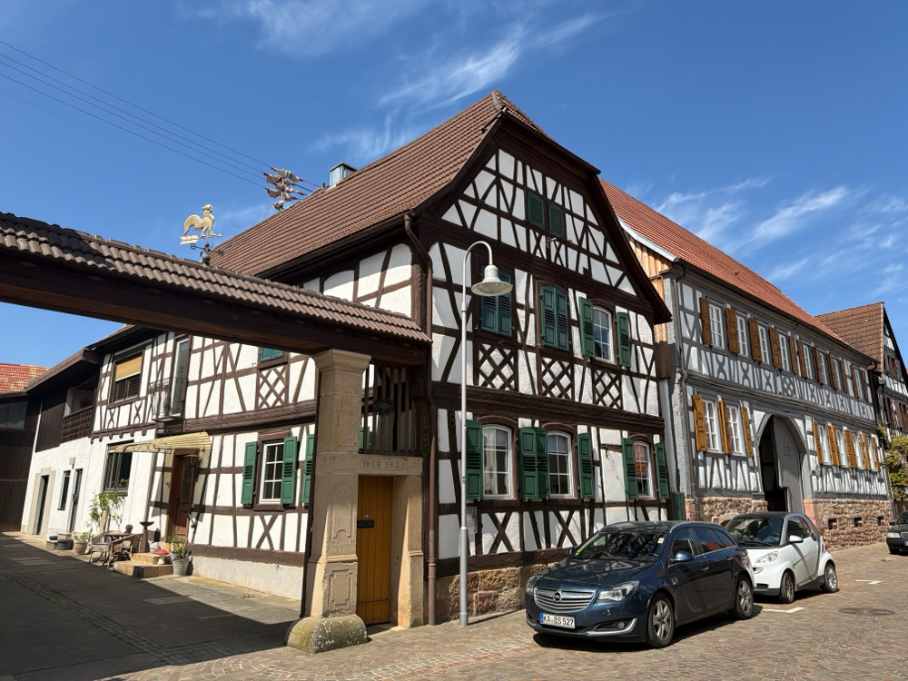 Weinhöfe in Steinweiler