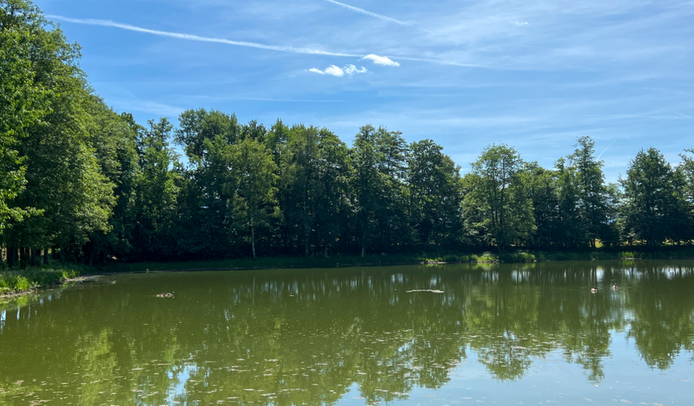 Angelsee 