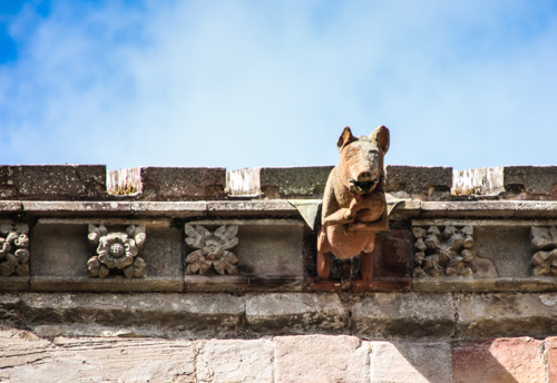 Melrose Abbey, dudelsackspielendes Schwein