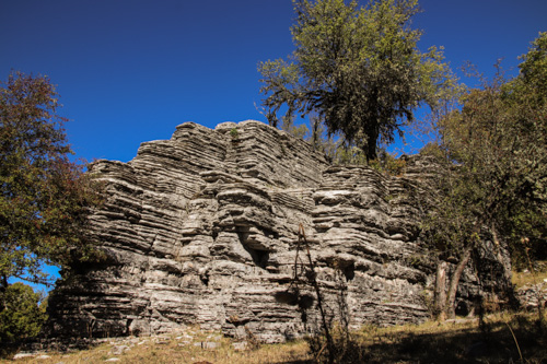 Stone forest