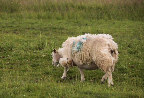 bei Otterburn