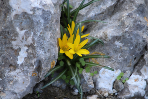 Antonius-Schlucht