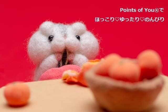 【新品同様】Points of You（ポインツオブユー）パンクタム (日本語) 解説】Points of Youで使う4種類のカードとは – 特徴、使い方、入手