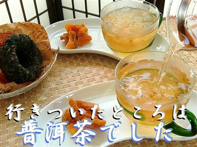 普洱茶 - 台湾茶専門店 台湾茶工房(凍頂烏龍茶・四季春茶等の 普洱茶 - 台湾茶専門店 台湾茶工房(凍頂烏龍茶・四季春茶等の