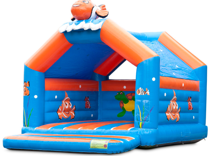 Clownfisch 5x6m