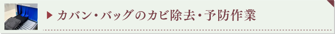 カバン・バックのカビ除去・予防作業