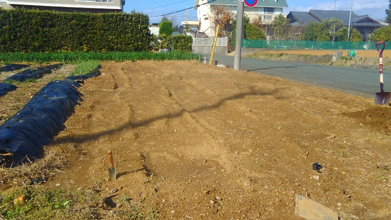 浜松市内に100平米ほどの土地を借りました。草が生えていない土地でした。