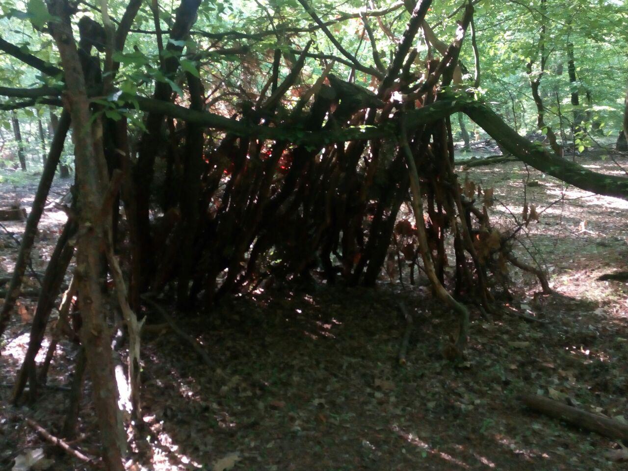 Naturshelter im Rohbau im Käfertaler Wald