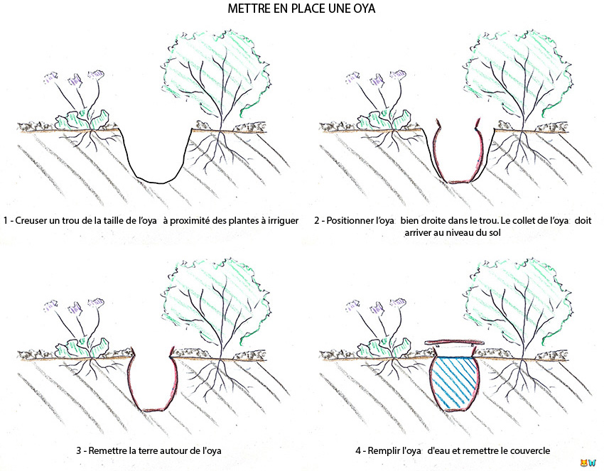 Mettre en place une ollas