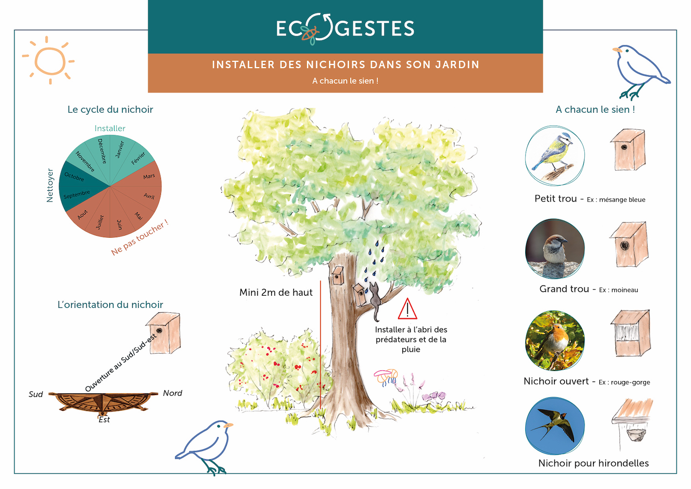 Installer des nichoirs pour les oiseaux