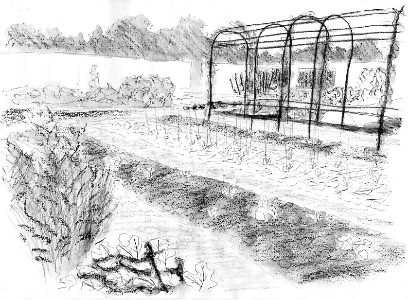 Potager (graphite). © Sandrine Tellier