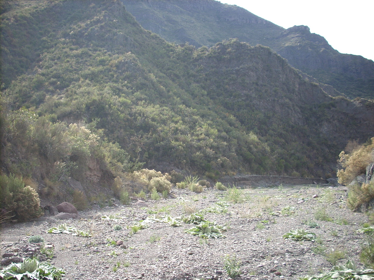 Cauce río Casa de Piedra. Edgardo MOINE