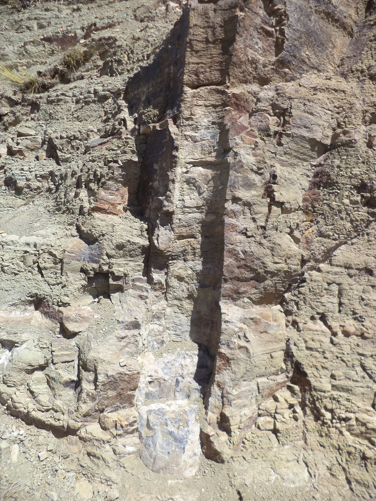 Cavidad en la roca en donde estuvo un araucaria petrificada
